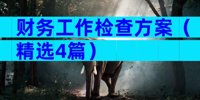 财务工作检查方案（精选4篇）