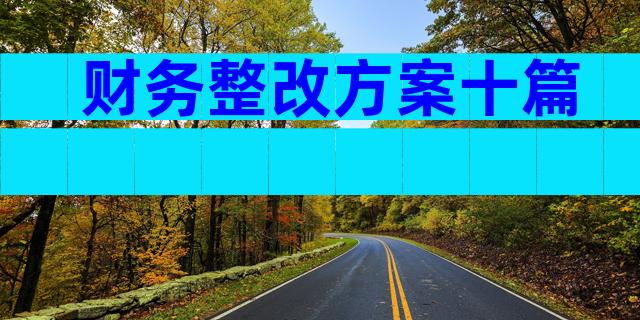 财务整改方案十篇
