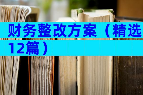 财务整改方案（精选12篇）