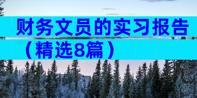 财务文员的实习报告（精选8篇）
