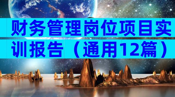财务管理岗位项目实训报告（通用12篇）