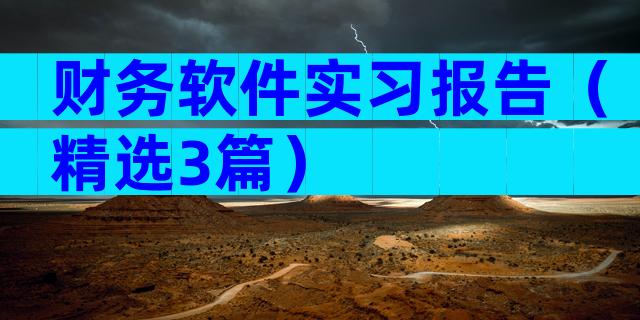 财务软件实习报告（精选3篇）