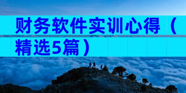 财务软件实训心得（精选5篇）