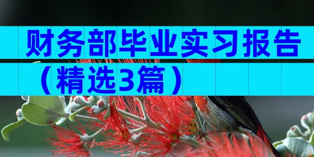 财务部毕业实习报告（精选3篇）