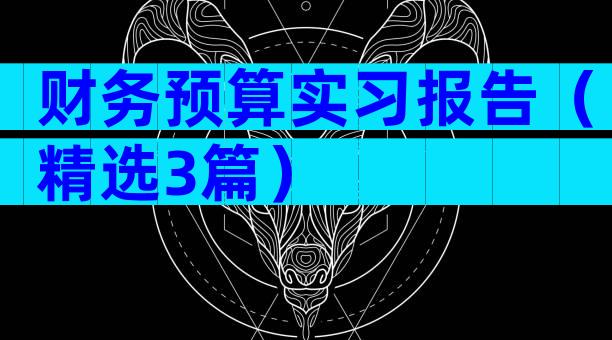 财务预算实习报告（精选3篇）