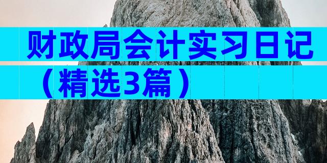财政局会计实习日记（精选3篇）