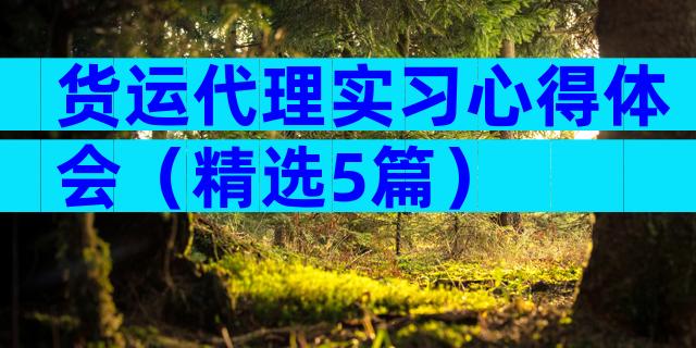 货运代理实习心得体会（精选5篇）