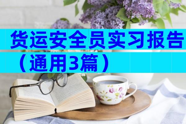 货运安全员实习报告（通用3篇）