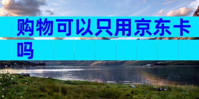 购物可以只用京东卡吗