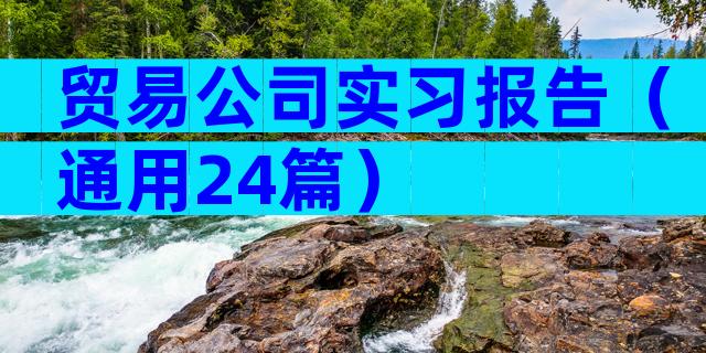 贸易公司实习报告（通用24篇）