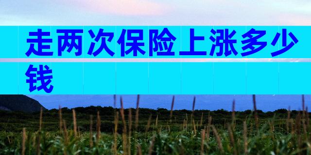 走两次保险上涨多少钱