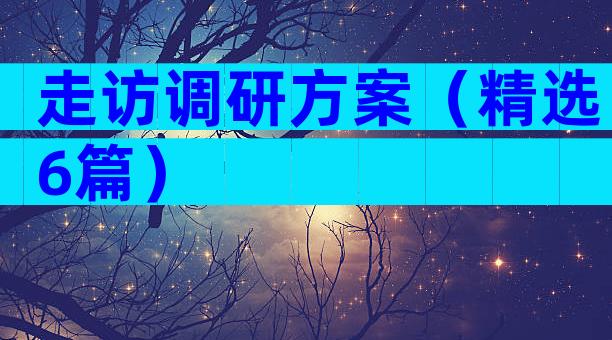 走访调研方案（精选6篇）