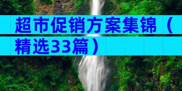 超市促销方案集锦（精选33篇）