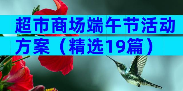 超市商场端午节活动方案（精选19篇）