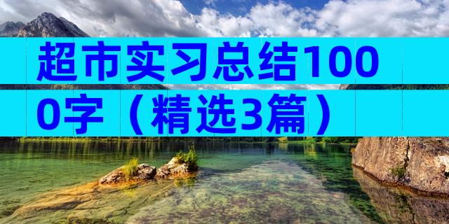 超市实习总结1000字（精选3篇）