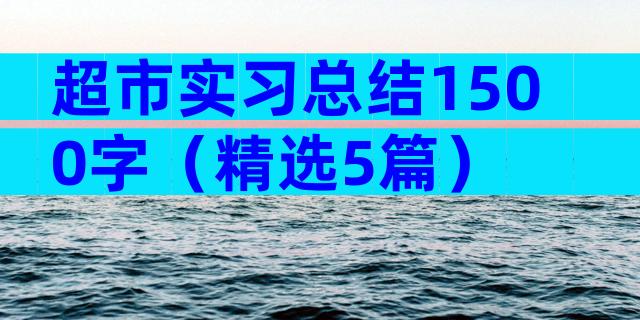超市实习总结1500字（精选5篇）