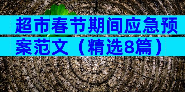 超市春节期间应急预案范文（精选8篇）