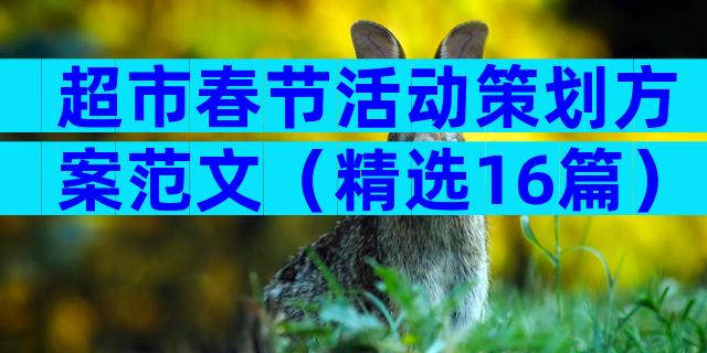 超市春节活动策划方案范文（精选16篇）