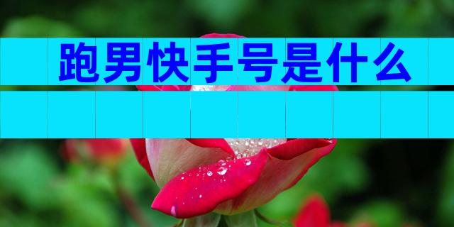 跑男快手号是什么