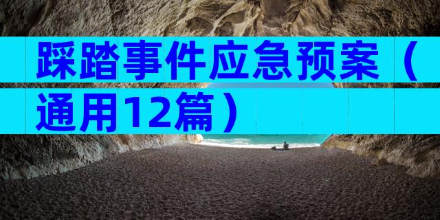 踩踏事件应急预案（通用12篇）