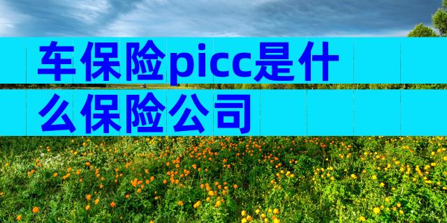 车保险picc是什么保险公司