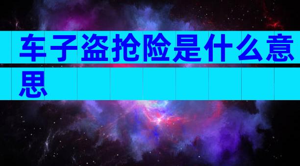 车子盗抢险是什么意思
