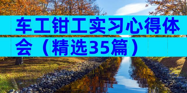 车工钳工实习心得体会（精选35篇）
