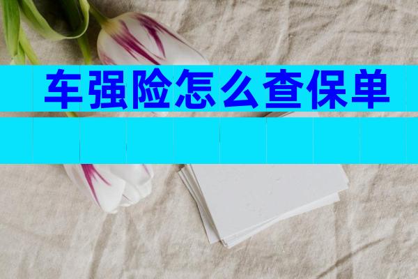 车强险怎么查保单