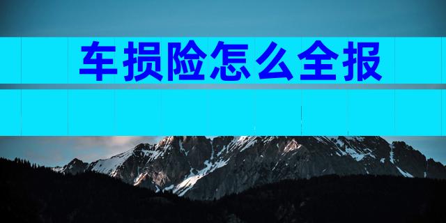 车损险怎么全报