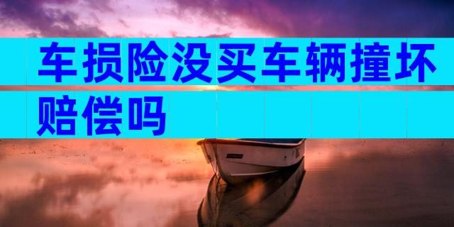 车损险没买车辆撞坏赔偿吗