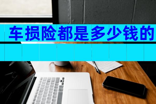 车损险都是多少钱的