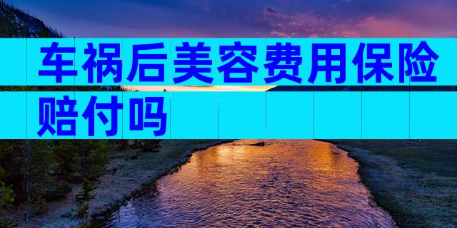车祸后美容费用保险赔付吗