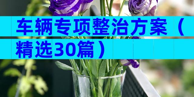车辆专项整治方案（精选30篇）
