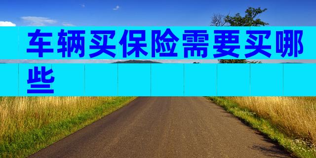 车辆买保险需要买哪些