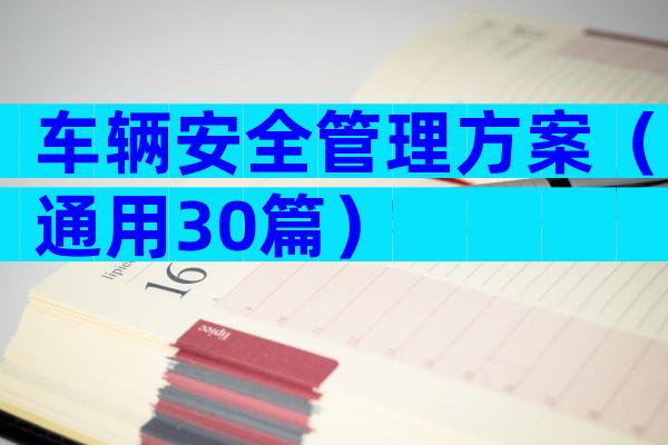 车辆安全管理方案（通用30篇）