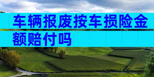 车辆报废按车损险金额赔付吗