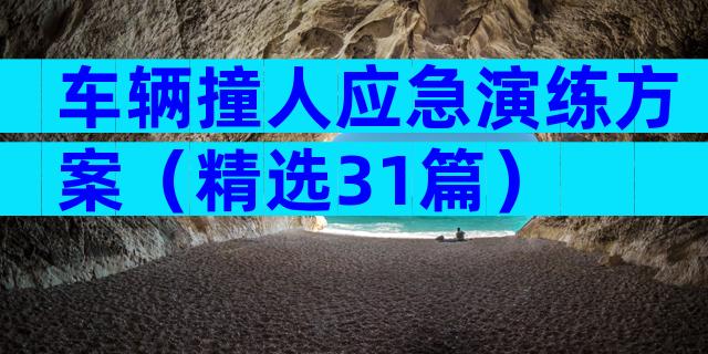 车辆撞人应急演练方案（精选31篇）
