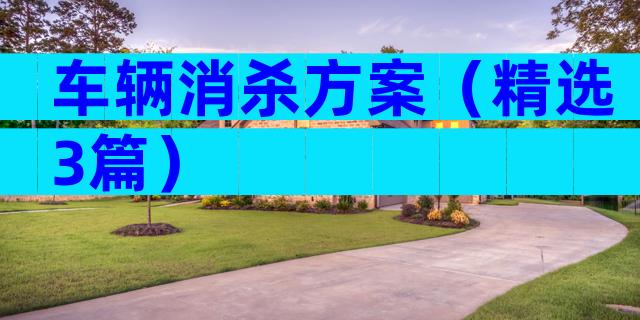 车辆消杀方案（精选3篇）