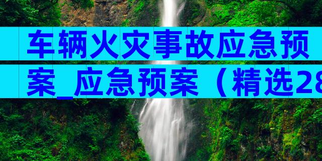 车辆火灾事故应急预案_应急预案（精选28篇）