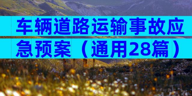 车辆道路运输事故应急预案（通用28篇）