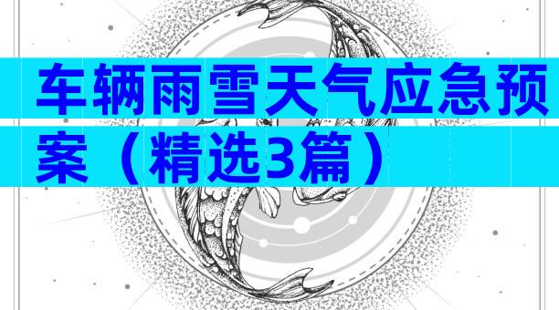 车辆雨雪天气应急预案（精选3篇）