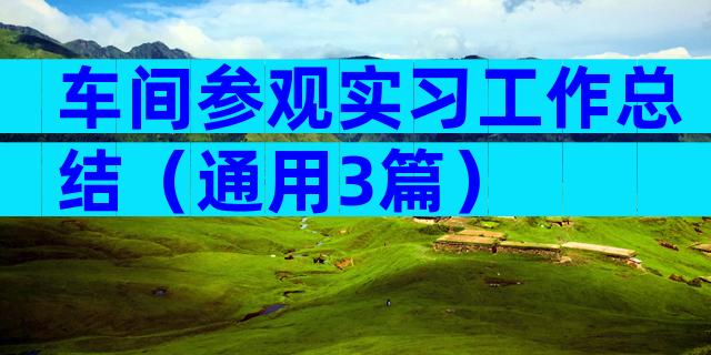 车间参观实习工作总结（通用3篇）