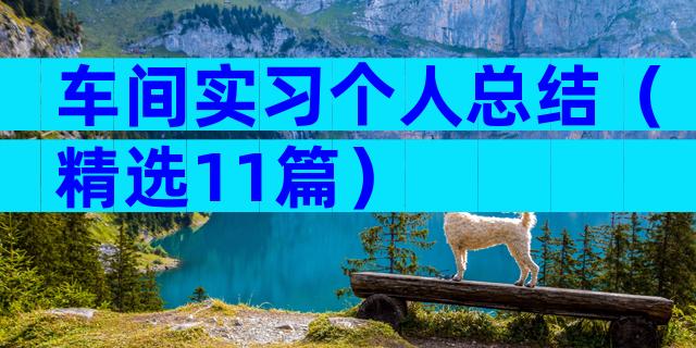 车间实习个人总结（精选11篇）