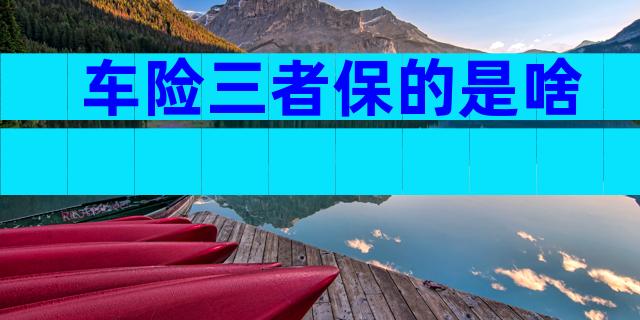 车险三者保的是啥