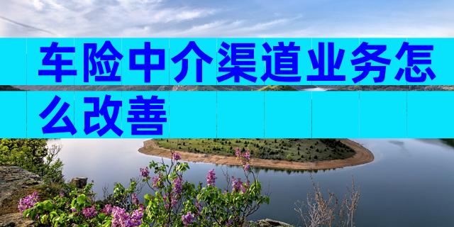 车险中介渠道业务怎么改善