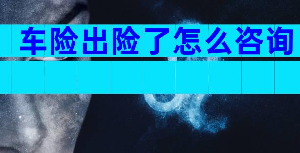 车险出险了怎么咨询