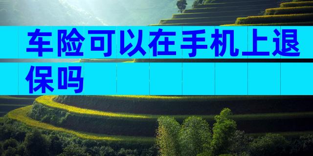 车险可以在手机上退保吗