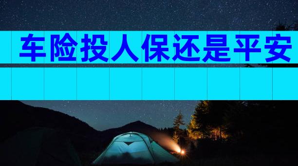 车险投人保还是平安