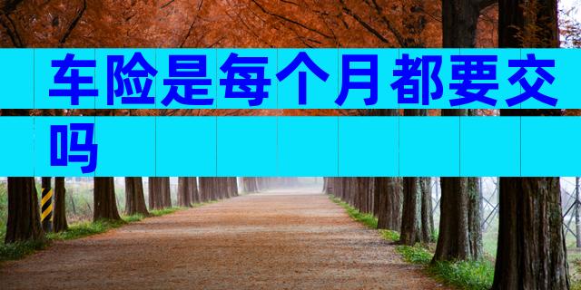 车险是每个月都要交吗