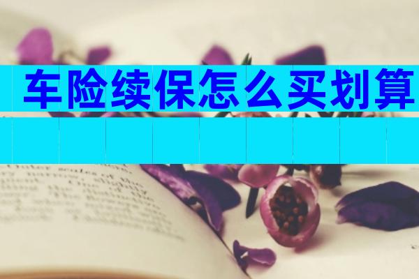 车险续保怎么买划算